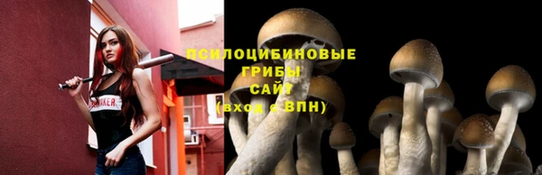 кокс Майский