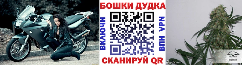Бошки Шишки VHQ  купить закладку  Фёдоровский 